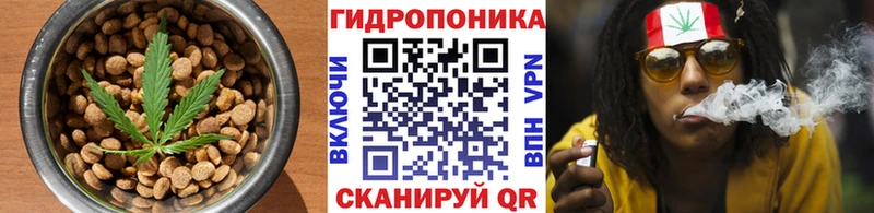 Еда ТГК марихуана Купить закладки Мураши