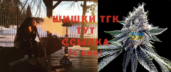 ПСИЛОЦИБИНОВЫЕ ГРИБЫ Лагань