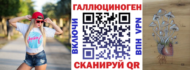 Купить где  Мураши  Галлюциногенные грибы ЛСД 